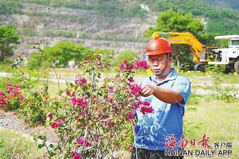 海南这座矿山，，，，，，为何这么绿？？？？？？4.jpg